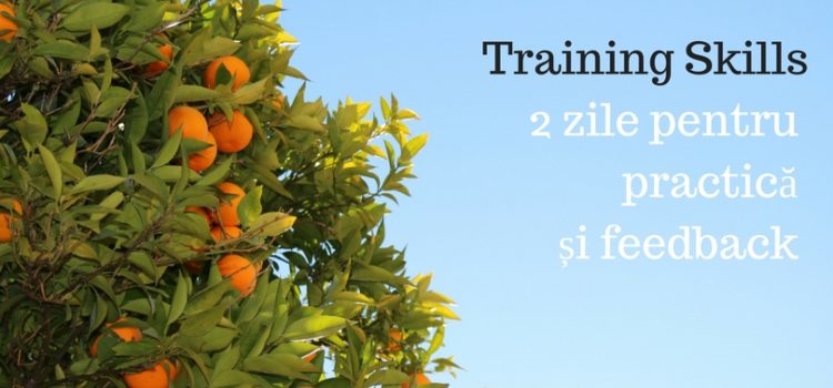 Training Skills Timișoara- 2 zile pentru practică și feedback