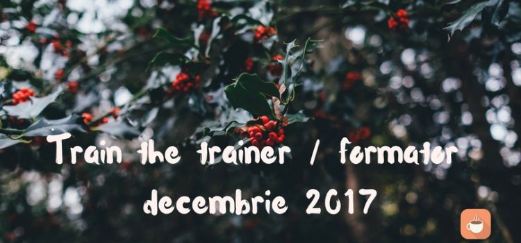 Train the Trainers / Formator noiembrie-decembrie 2017