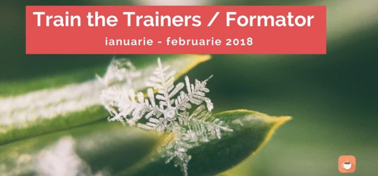 Train the Trainers / Formator ianuarie – februarie 2018