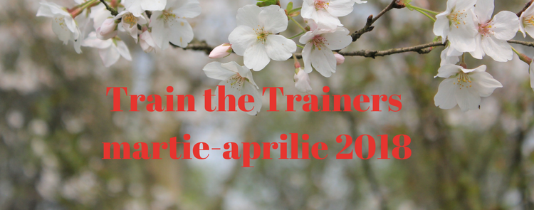 Train the Trainers / Formator martie-aprilie 2018
